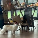 프릿토핏 이미지