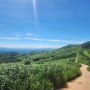 포시즌 황매산 호스텔 이미지