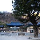 송학사