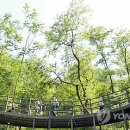 독립문역4번출구 이미지