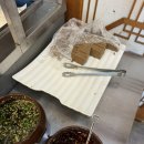 황금코다리김천점 | [김천/교동] 연화지 근처 맛집 '황금코다리 김천점' 솔직 방문 후기! 🐟✨