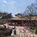 팔봉산여관 네이버블로그