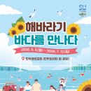 해바라기 - 창원시 마산합포구 아구찜길 40 | 해바라기