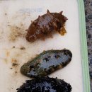 용마대형정비 이미지