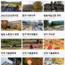 2021 plz페스티벌 이미지