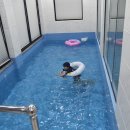 V528 이미지