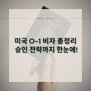 O-1 이미지