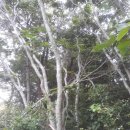 예덕농장(1) 이미지