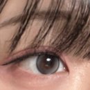 오렌즈 | 오렌즈 글로이티어 그레이 내돈내산 후기