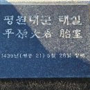 금성석물 이미지