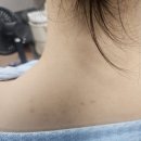 스포츠톡톡 | 수영장수건 습식수건 다이넴 스포츠타올 사용후기