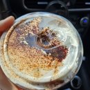 구봉프라자2 | 여수 1박2일 여행 코스 힐링 여행 - 이순신광장 광장...샵 프롬나드 라마다 프라자 황가네조개구이 콩불