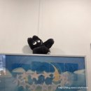 유원인쇄 | 시청역 전시 데이트 갤러리 카페 라이크디즈 1601 방문 후기