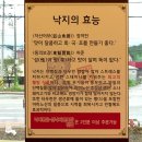 세종낙지 초담골(낙지요리전문점) 이미지
