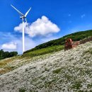 육백마지기 이미지