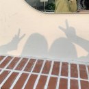 슬로우포레스트 이미지