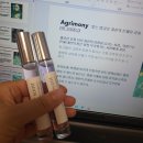 춘천교대부설초등학교 이미지