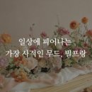 부산하우스 이미지