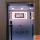 상아동물병원 이미지