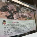 경주 동천동 &#39;지리산꺼먹돼지&#39; 방문 후기: 고기의 진수를 맛보다
