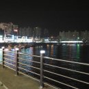꿈의수산 티스토리