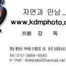 대림화원 이미지