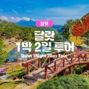 베트남 달랏 가족여행 제대로 즐기는 1박 2일 투어 일정