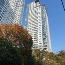 부산광역시 동구 자성로 이미지