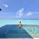 (주)썬라이즈소프트 | 몰디브 아난타라 디구 최저가 도전! 악당강아지 단독 2월 한정 마지막 공동구매 특가