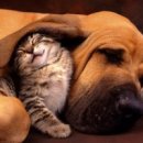 27 당구클럽 이미지