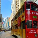 미스터쉐프 고기국수 | [홍콩/香港 &amp; 마카오/澳门]