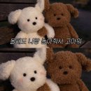 고양대로1315번길 | 십이월-2. 한해가 또 끝이났지, 25년을 접어 넣으며.