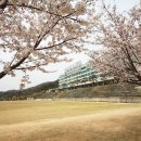 김해대학교 이미지