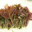 원택농장 이미지