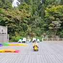 붕붕카매니아 이미지