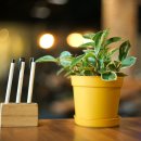 아담스 하우스 휘트니스 이미지