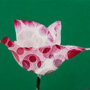 장지은 카카오 검색결과