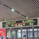 선양 International | 26년1월 단둥 여행, 중국 선양에서 고속열차로 다녀온 1박 2일, 압록강 철교