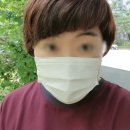 그린비소프트 네이버블로그
