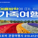 크로바관광여행사
