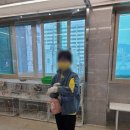 하버드앵무새카페 이미지