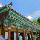 2026 김해 송담서원/松潭書院의 사충단/四忠壇ㆍ표충사/表忠祠 향례/享禮 참제기/參祭記 《 2 》