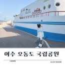 오동도로 | 여수 여행시 꼭 방문해야하는 오동도 국립공원 주차장, 포토존 소개시켜드려요