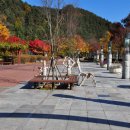 강원도자연환경연구공원 이미지