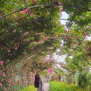 풍덕동 행정복지센터 이미지