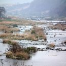 섬진강종주2 이미지