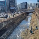 중앙호수공원 이미지