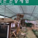 손승모 농장 네이버블로그