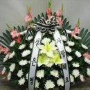 중앙요양병원장례식장 이미지