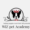 위즈펫살롱 이미지